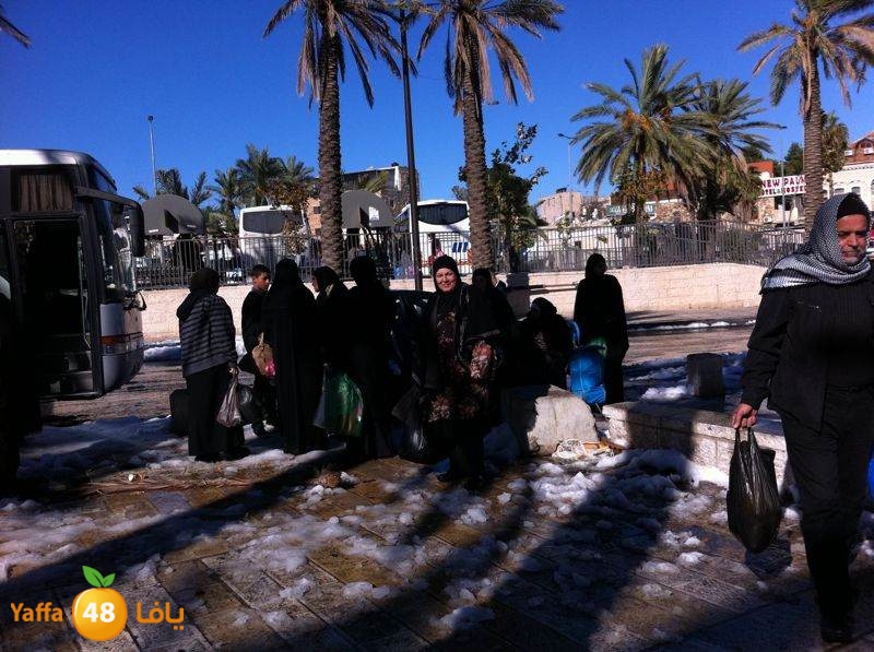 yaffa byareq (21).jpg